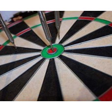 Dartbord Professional Razor-Web Bristle