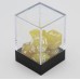 Dobbelstenen Goud Parelmoer 7 set Brick