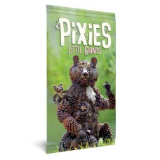 Pixies - Little Giants uitbr.NL
* Pre-order, week 42 *