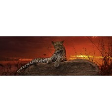 Puzzel Red Dawn,Hum.2000 Pan.Heye 29608
* levertijd onbekend *